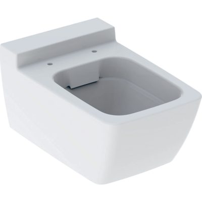 Závesné WC s hlbokým splach. Geberit Xeno2, uzavretý tvar, Rimfree: T=54cm, Biela, 500.500.01.1
