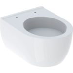 Závesné WC s hlbokým splachovaním Geberit iCon, uzavretý tvar: T=49cm, Biela, 204030000